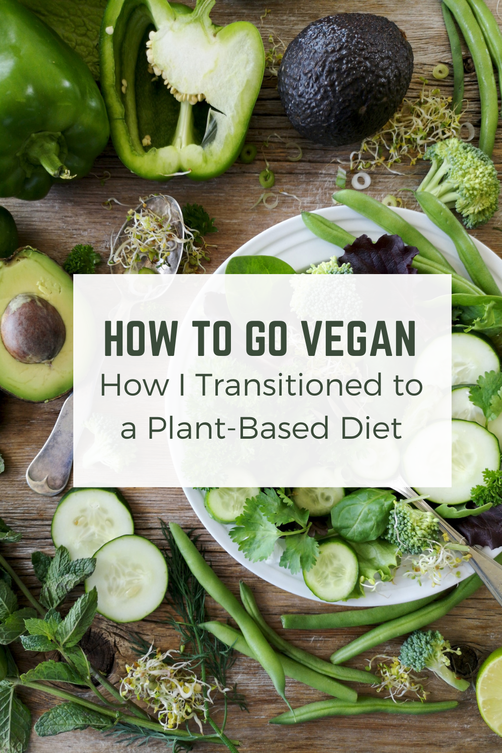 My Vegan Journey: How I Transitioned To A Plant-Based Diet - Living ...